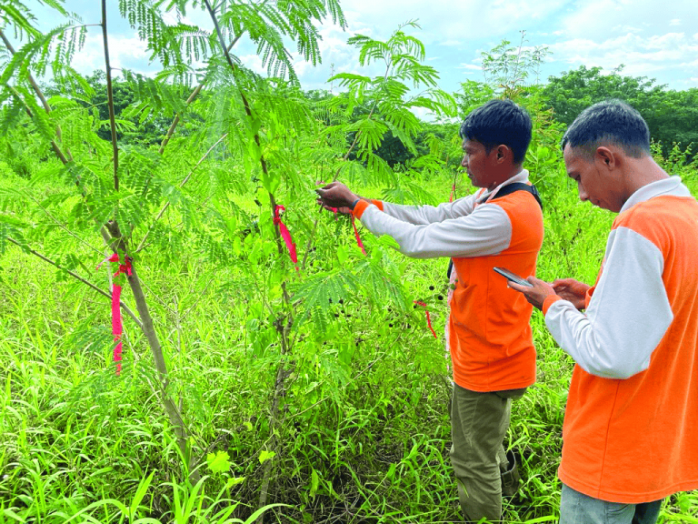 โครงการ GREENCODE
