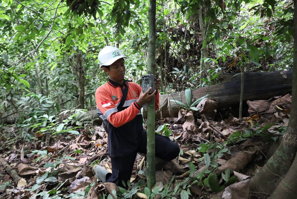 Arboretum 30 Gemilang-1